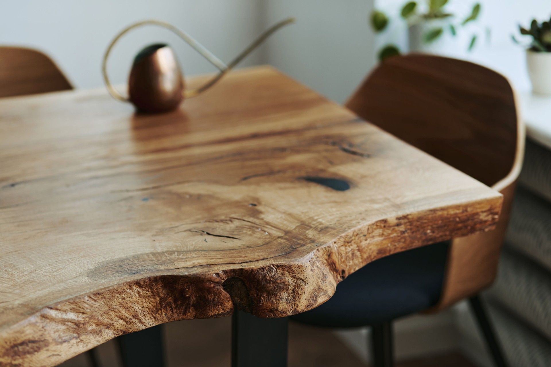 Stylish and botany interior of dining room with design craft wooden table, a lot of plants and elegant accessories in modern home decor. Template.